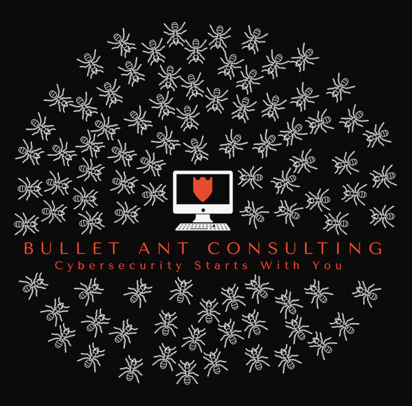 Bullet Ant Consulting